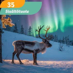 Sisältötuote 35€ The Light of The North