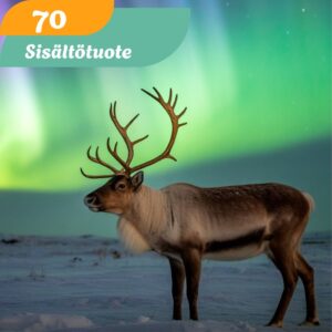 Sisältötuote 70€ The Light of The North