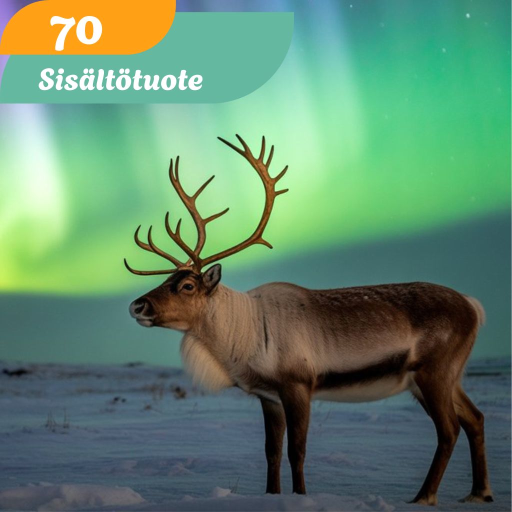 Sisältötuote 70€ The Light of The North